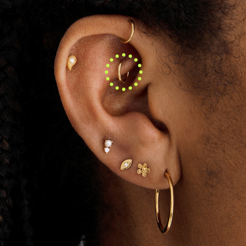 14K 8mm Clicker Piercing Lookbook Only Studs