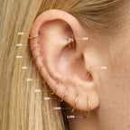 On ear image with all gold clicker sizes highlighting sizes 5mm to 12mm