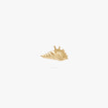 This image shows the front view of a 14k conch shell flat back earring