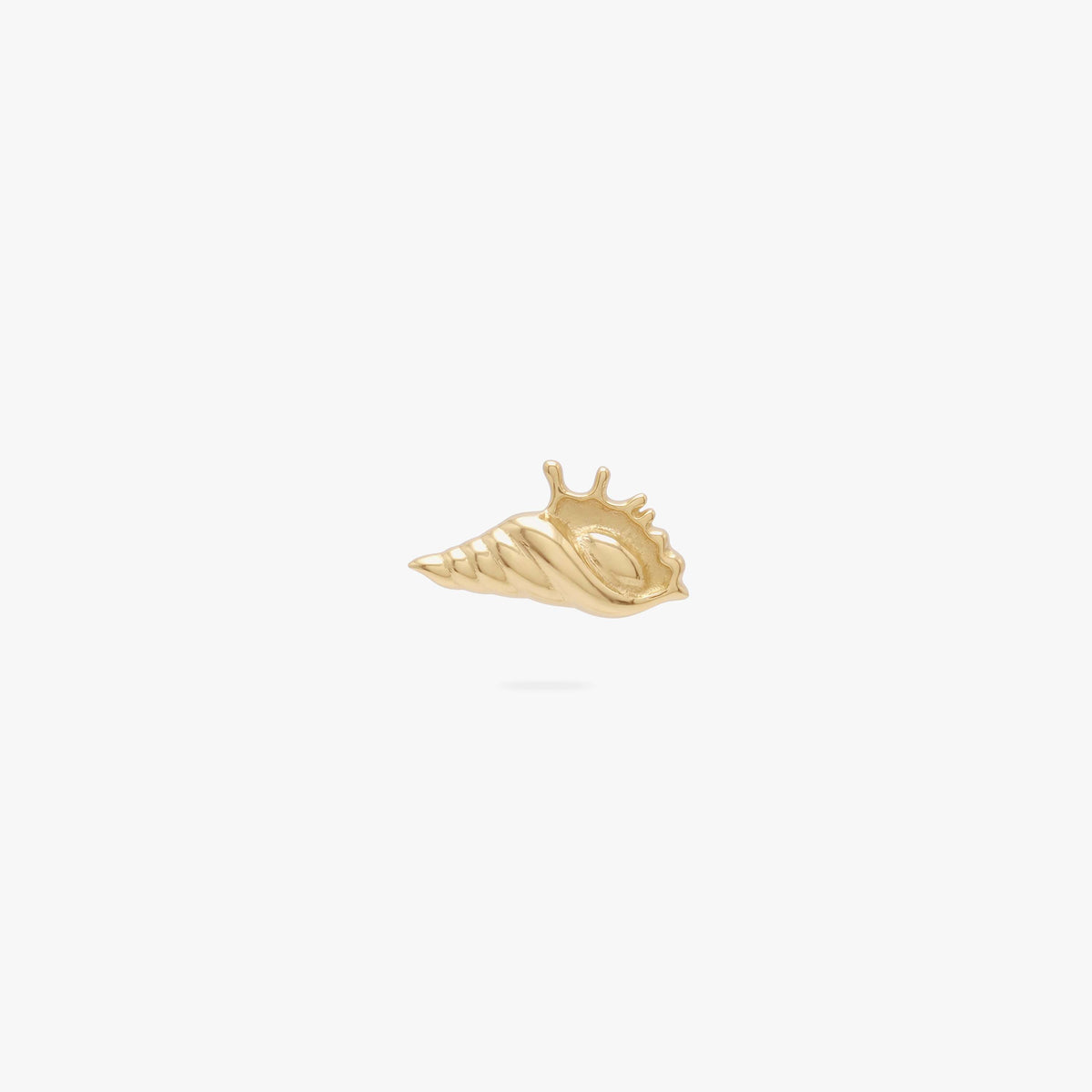 This image shows the front view of a 14k conch shell flat back earring