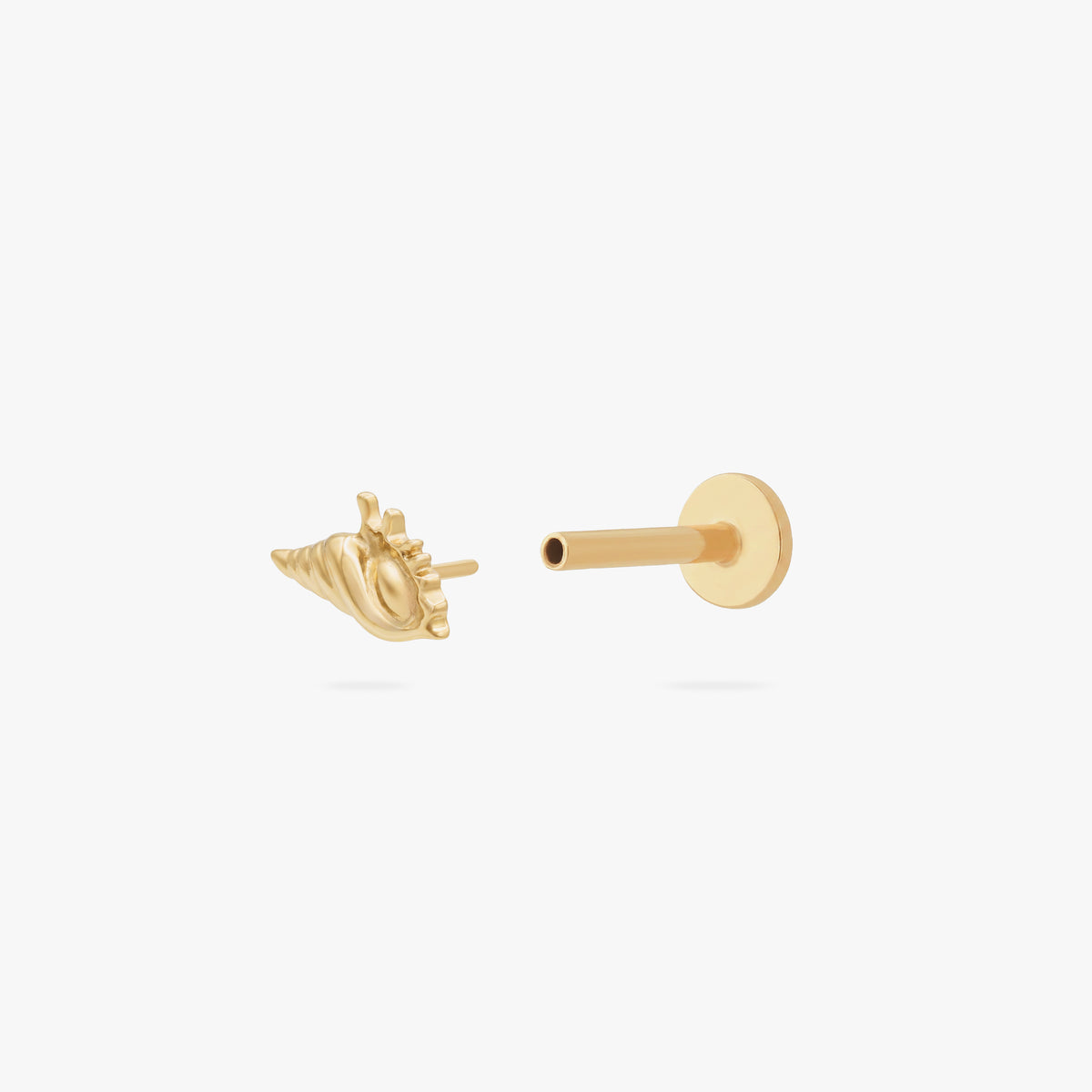This image shows the front open view of a 14k conch shell flat back earring