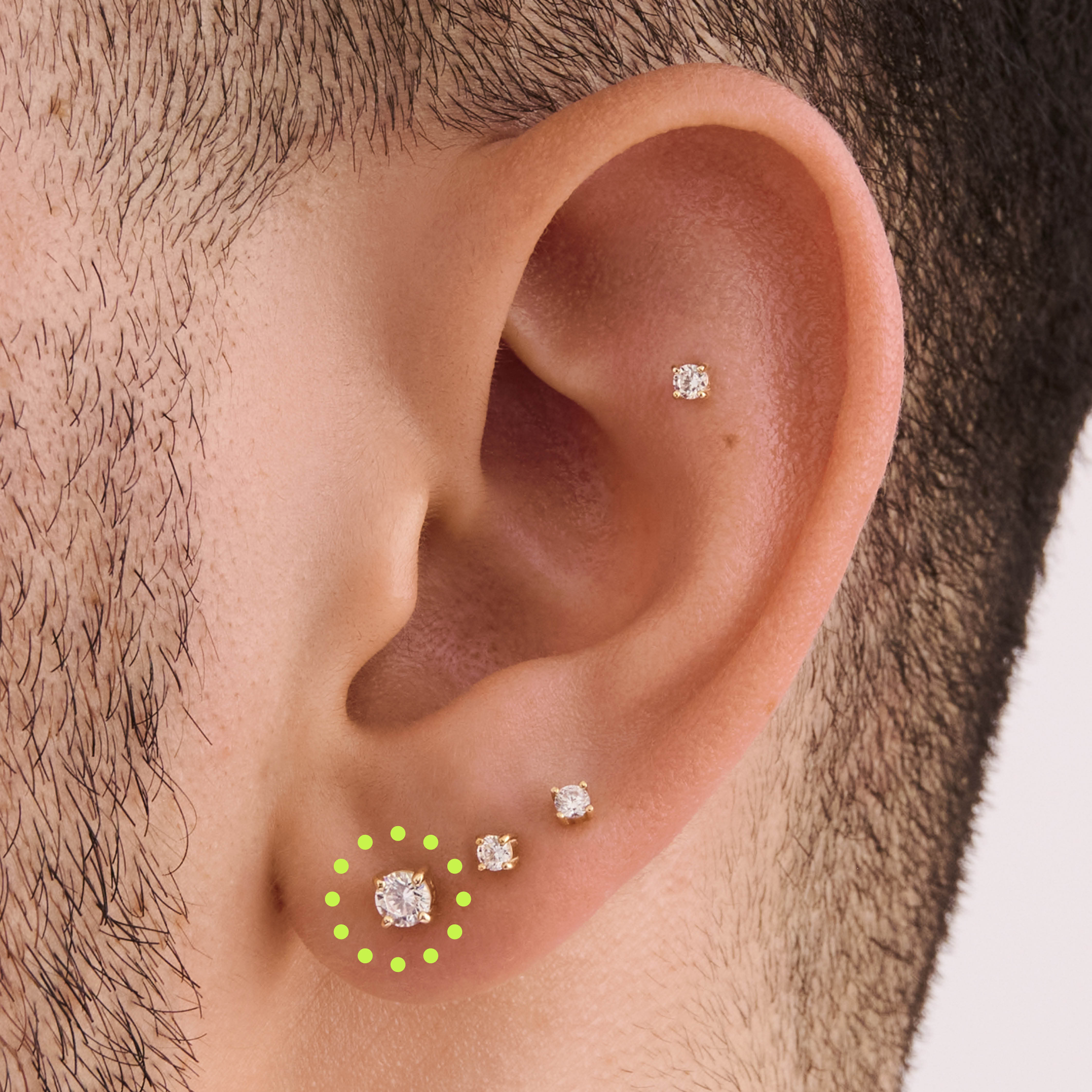 Conch Stud Basic Conch – Studs