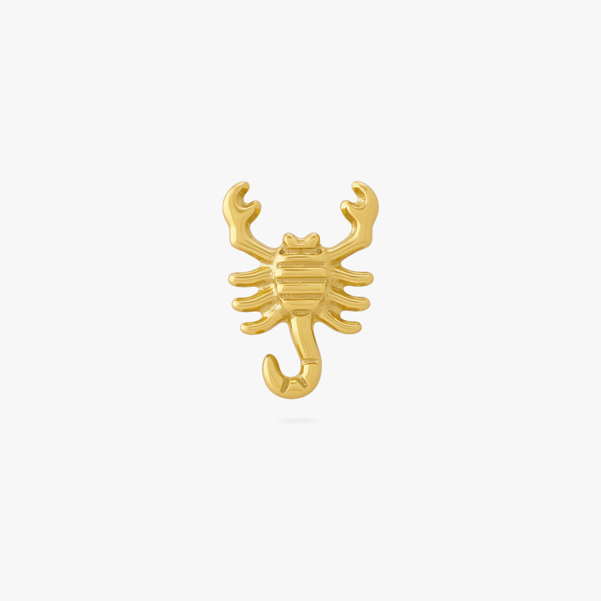 This image shows the front view of the golden titanium scorpion flatback. 